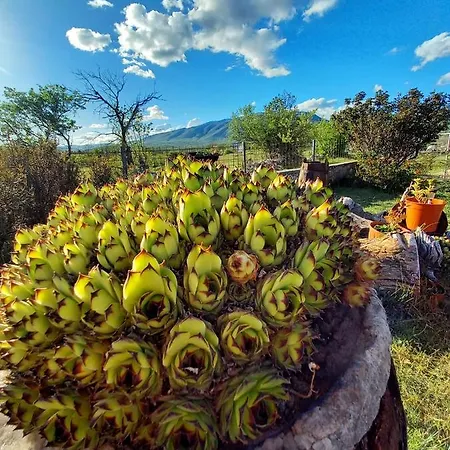 Vikendica Vlahic, Goranci Nyaraló Mostar